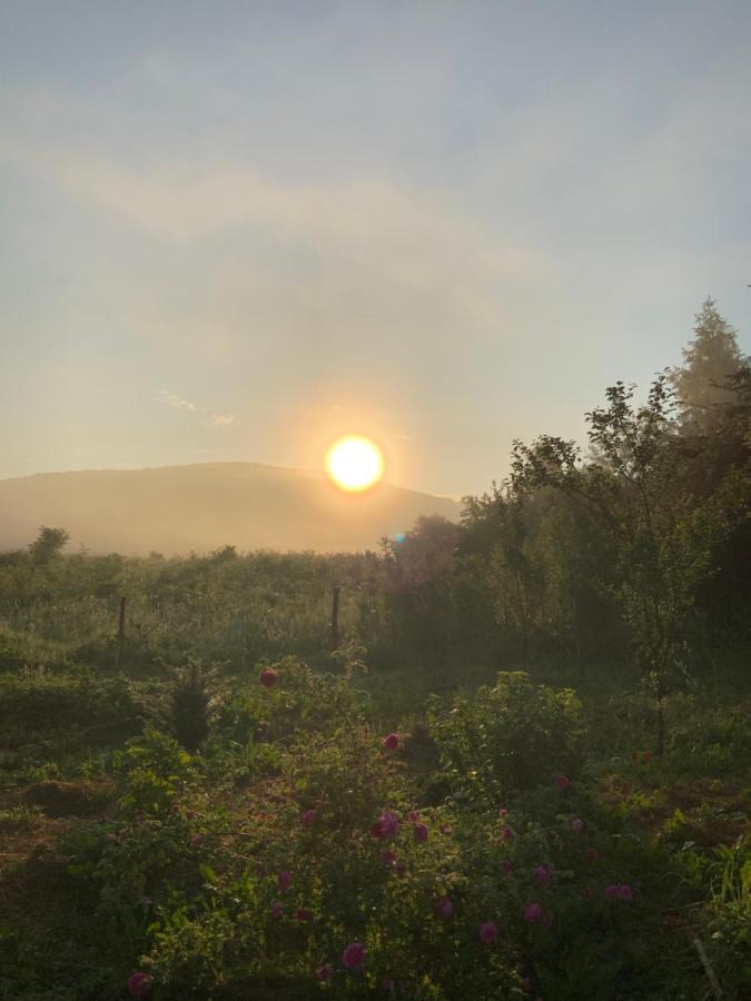 Peace Valley - Dolina Mira Janja Gora 외부 사진