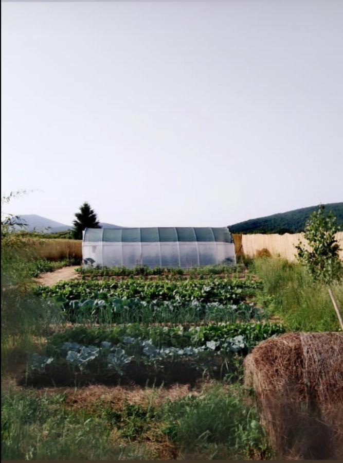Peace Valley - Dolina Mira Janja Gora 외부 사진
