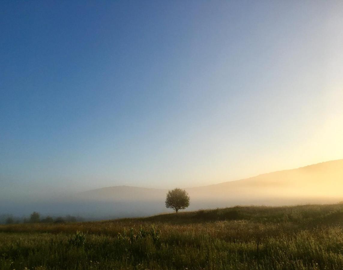 Peace Valley - Dolina Mira Janja Gora 외부 사진